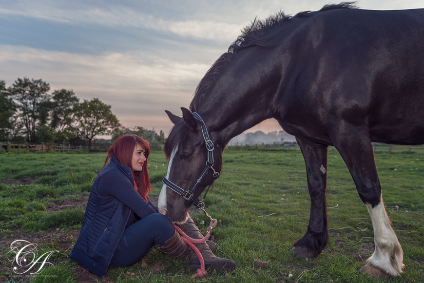Horse Equine Photographer York