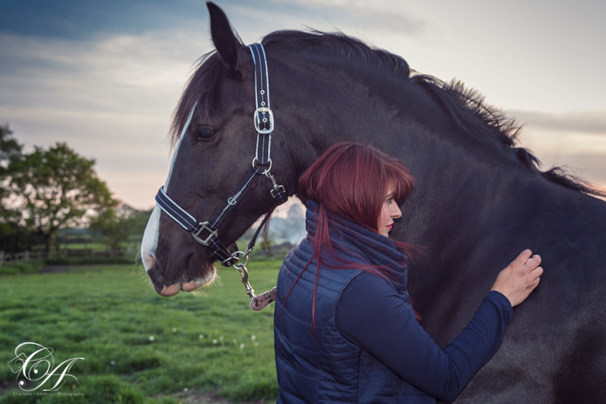 Horse Equine Photography York