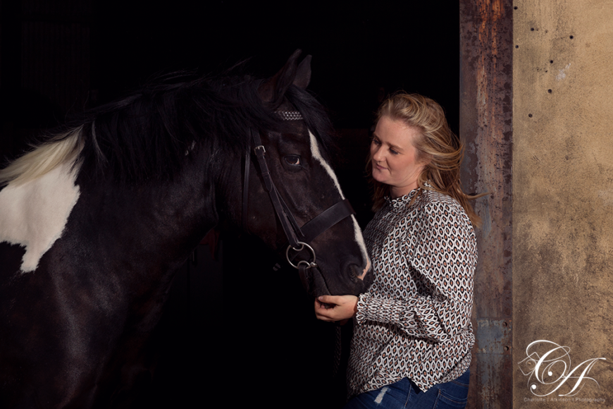 York Horse Photographer